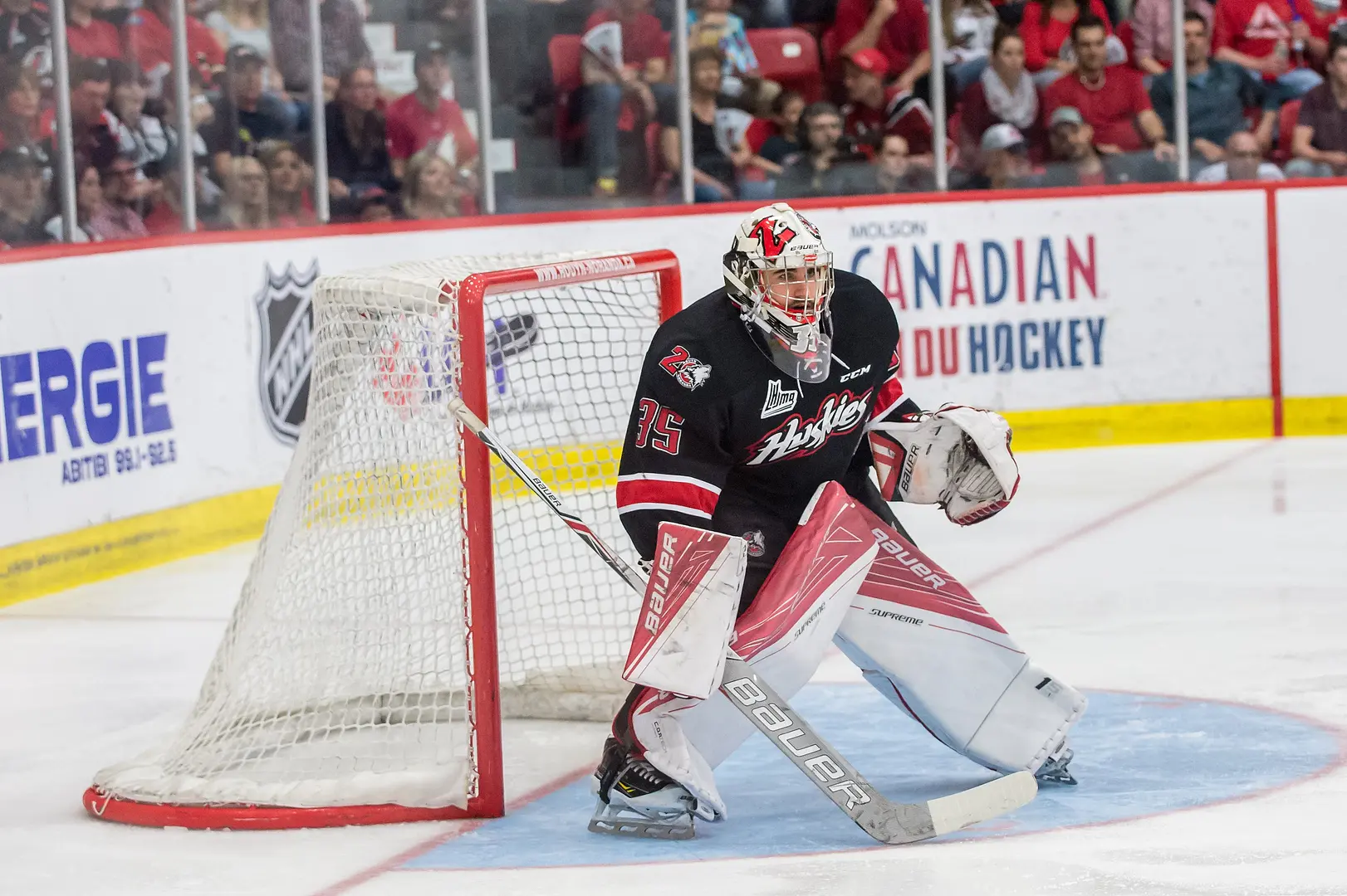 Chase Marchand (Rouyn-Noranda | 2015-16)