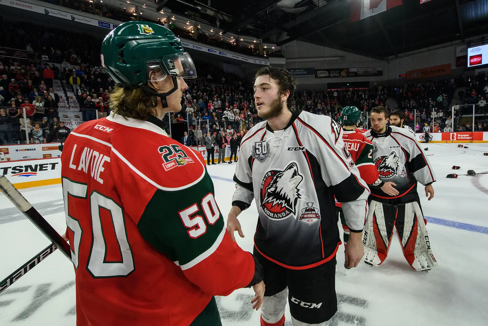 Coupe Memorial 2019 - Raphaël Lavoie des Mooseheads félicite le "général" de la défensive des Huskies, Noah Dobson. Halifax et Rouyn-Noranda, deux superbes équipes de hockey de la LHJMQ en 2018-19.
