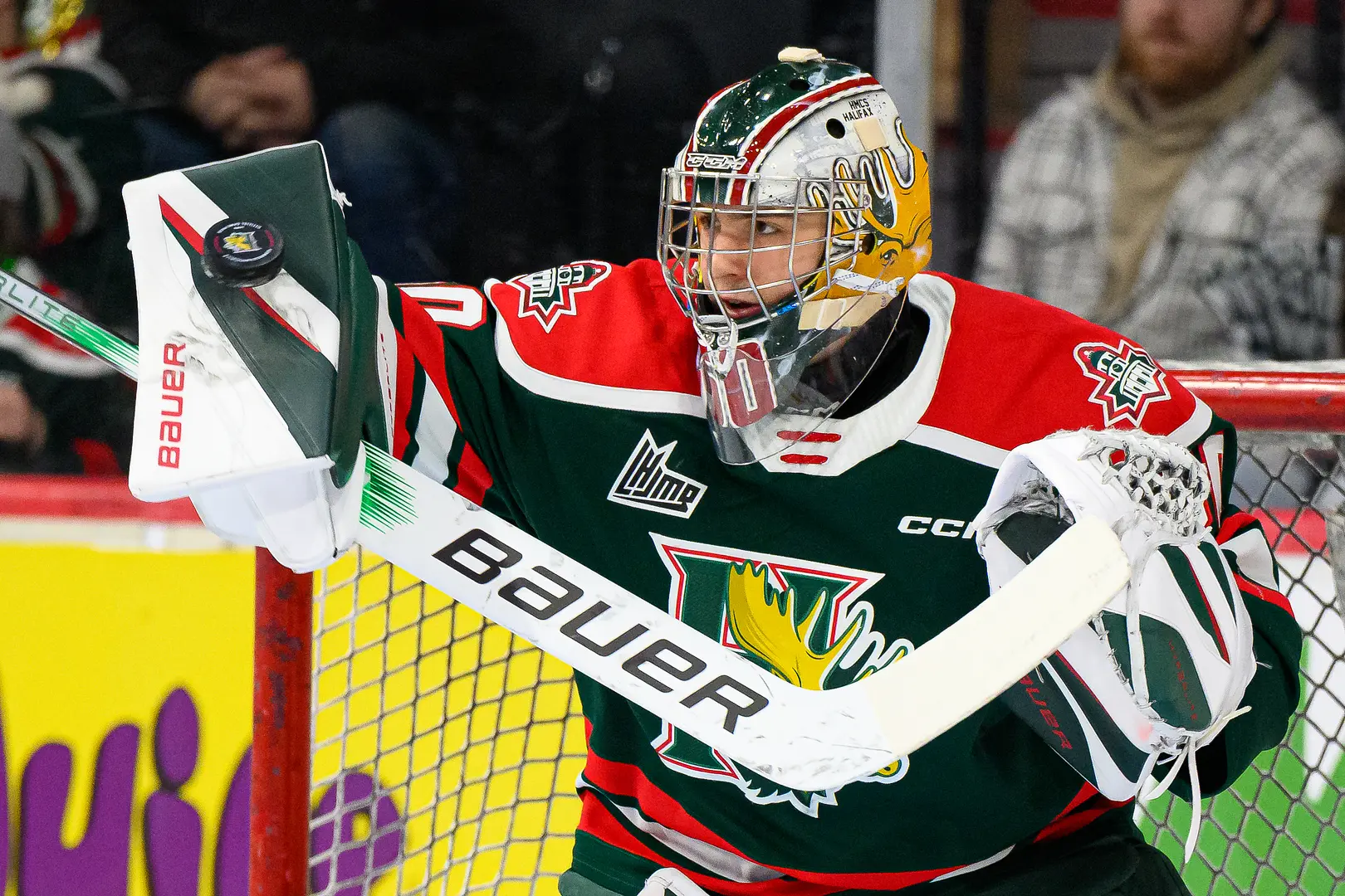Mathis Rousseau (2023-24) - absolument fumant tout au long de la saison, son pourcentage d'arrêts de .925 est en fait un nouveau record d'équipe en calendrier régulier pour le gardien de 19 ans. Sa moyenne de buts alloués de 2.27 vient juste derrière celle de Zachary Fucale (2.26 | 2013-14).